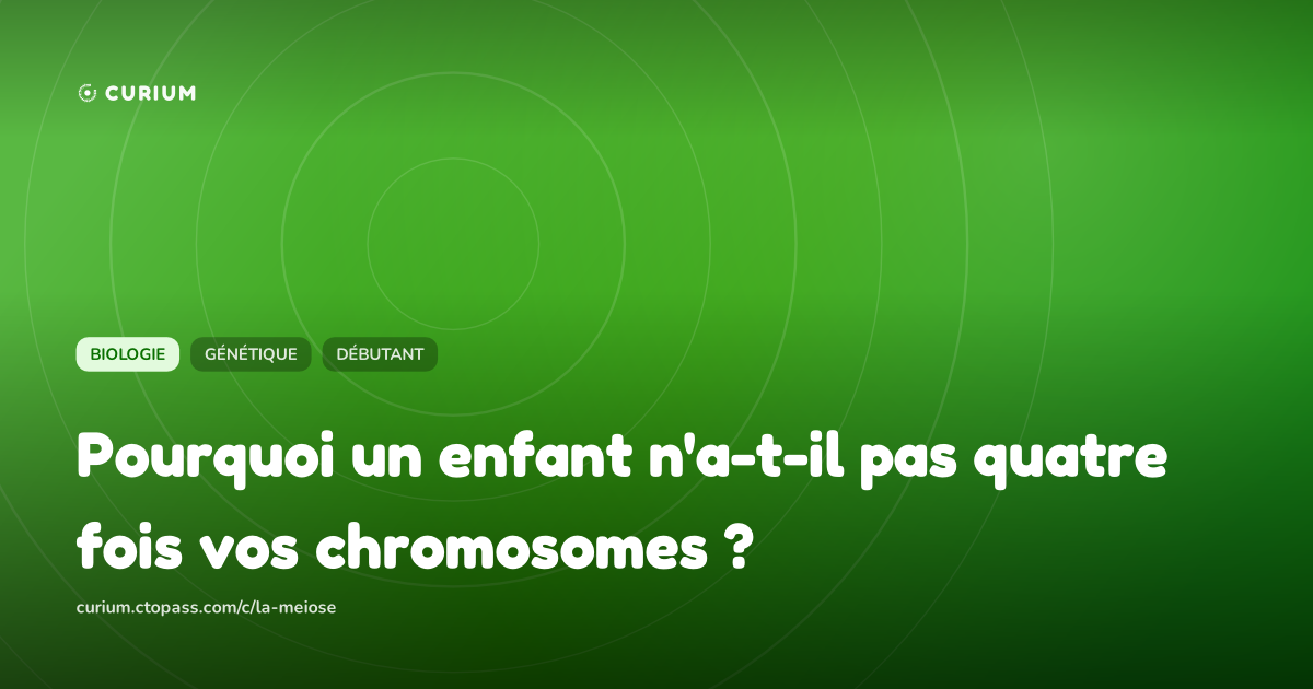 Pourquoi un enfant n'a-t-il pas quatre fois vos chromosomes ?