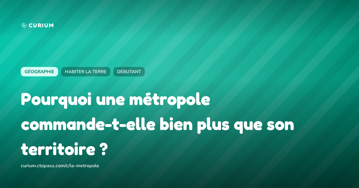 Pourquoi une métropole commande-t-elle bien plus que son territoire ?