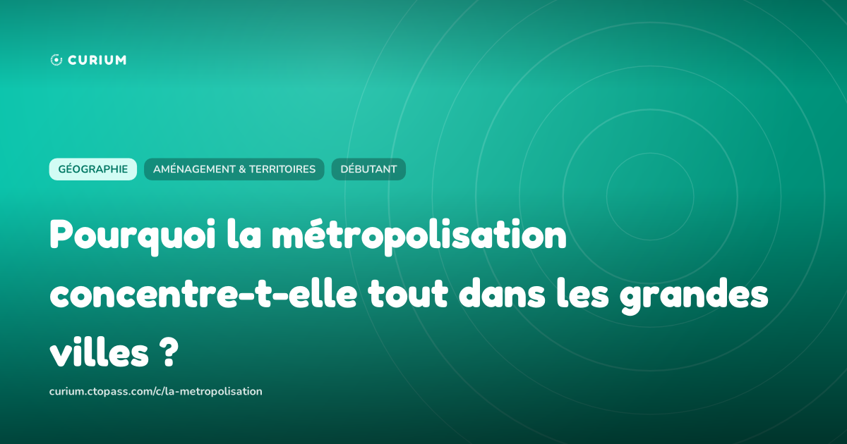 Pourquoi la métropolisation concentre-t-elle tout dans les grandes villes ?