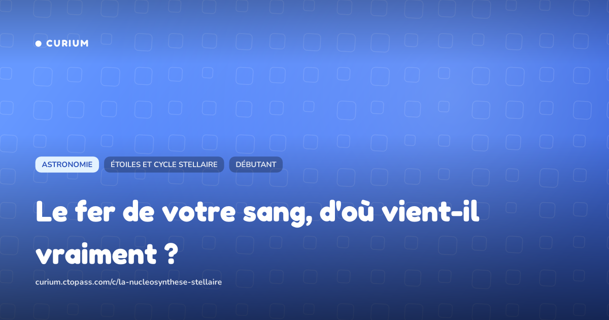 Le fer de votre sang, d'où vient-il vraiment ?