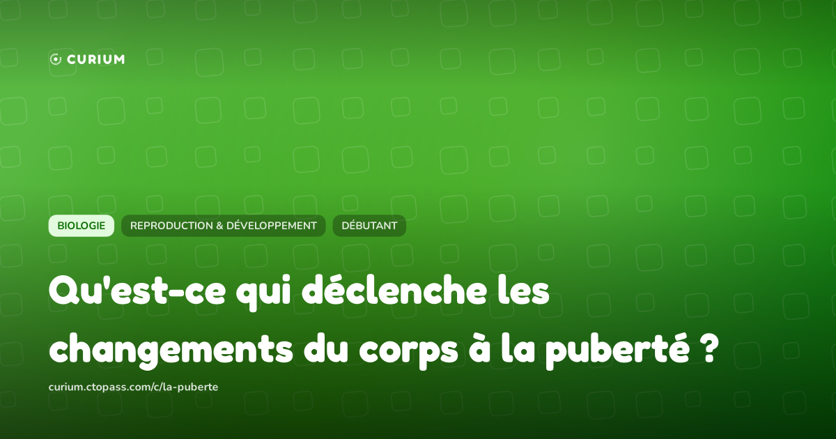 Qu'est-ce qui déclenche les changements du corps à la puberté ?