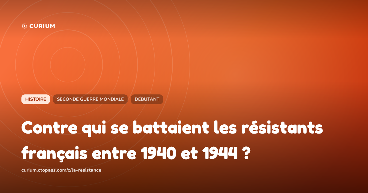 Contre qui se battaient les résistants français entre 1940 et 1944 ?