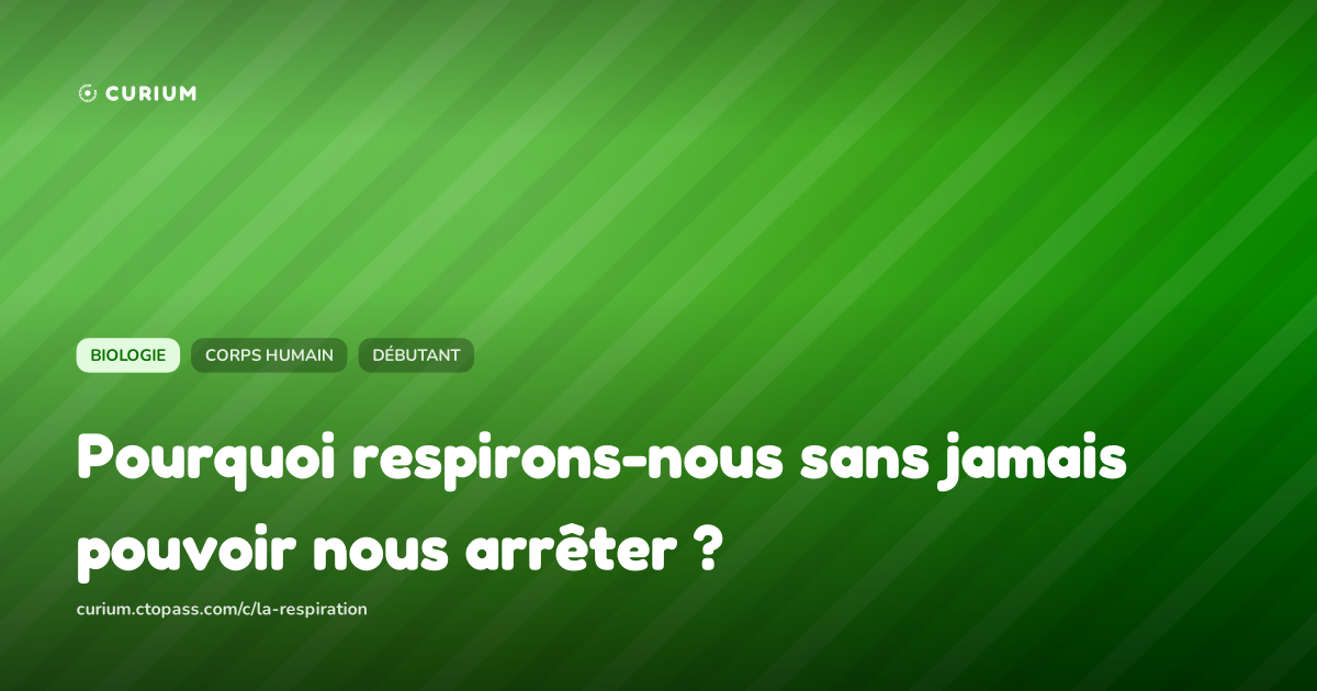 Pourquoi respirons-nous sans jamais pouvoir nous arrêter ?