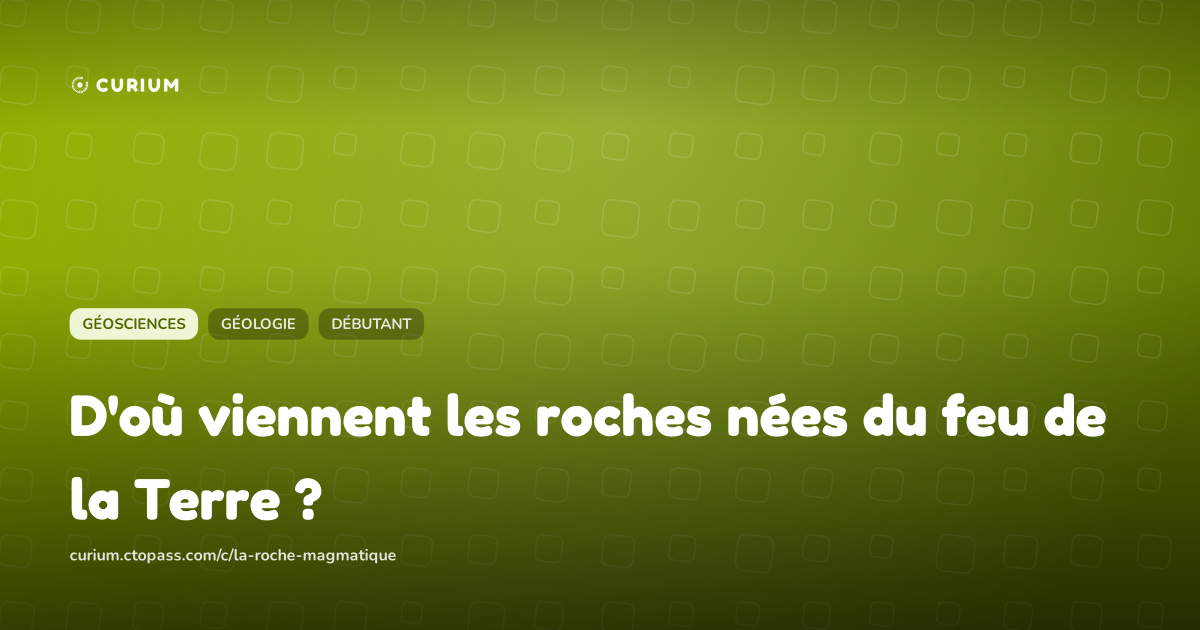 D'où viennent les roches nées du feu de la Terre ?
