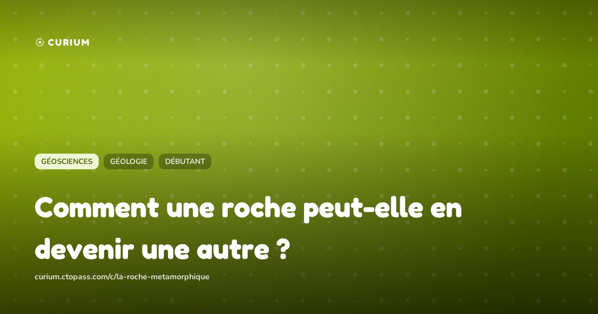 Comment une roche peut-elle en devenir une autre ?