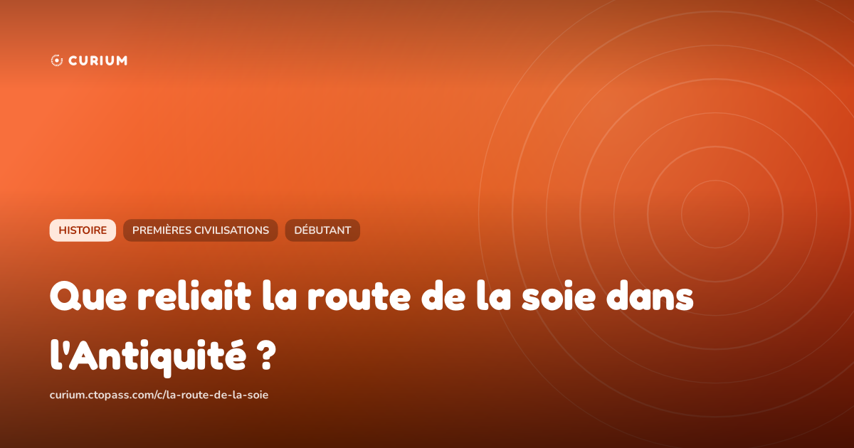 Que reliait la route de la soie dans l'Antiquité ?