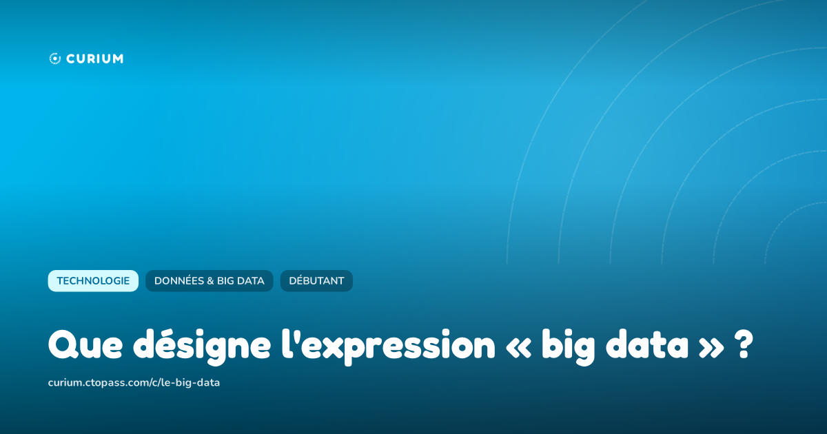 Que désigne l'expression « big data » ?