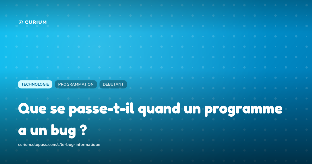 Que se passe-t-il quand un programme a un bug ?