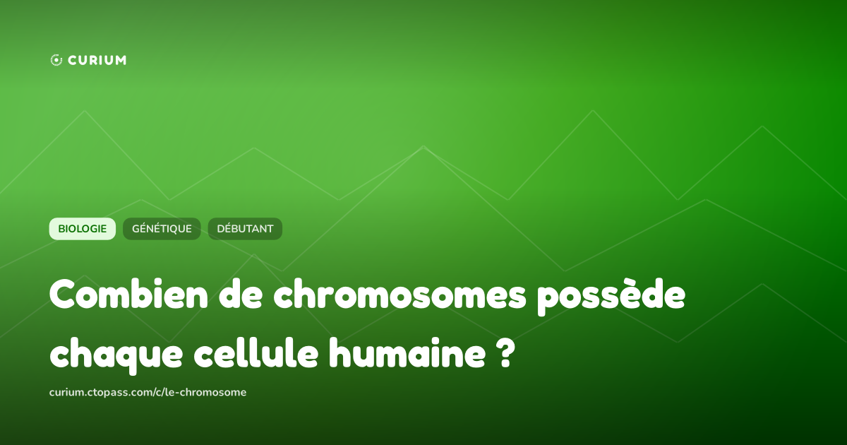 Combien de chromosomes possède chaque cellule humaine ?