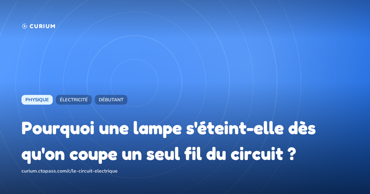 Pourquoi une lampe s'éteint-elle dès qu'on coupe un seul fil du circuit ?