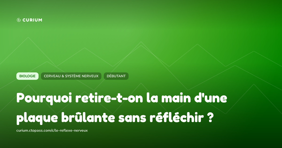 Pourquoi retire-t-on la main d'une plaque brûlante sans réfléchir ?