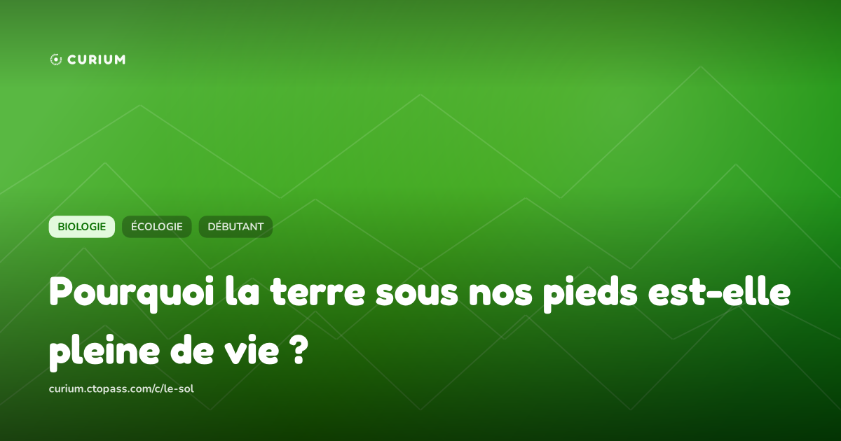 Pourquoi la terre sous nos pieds est-elle pleine de vie ?