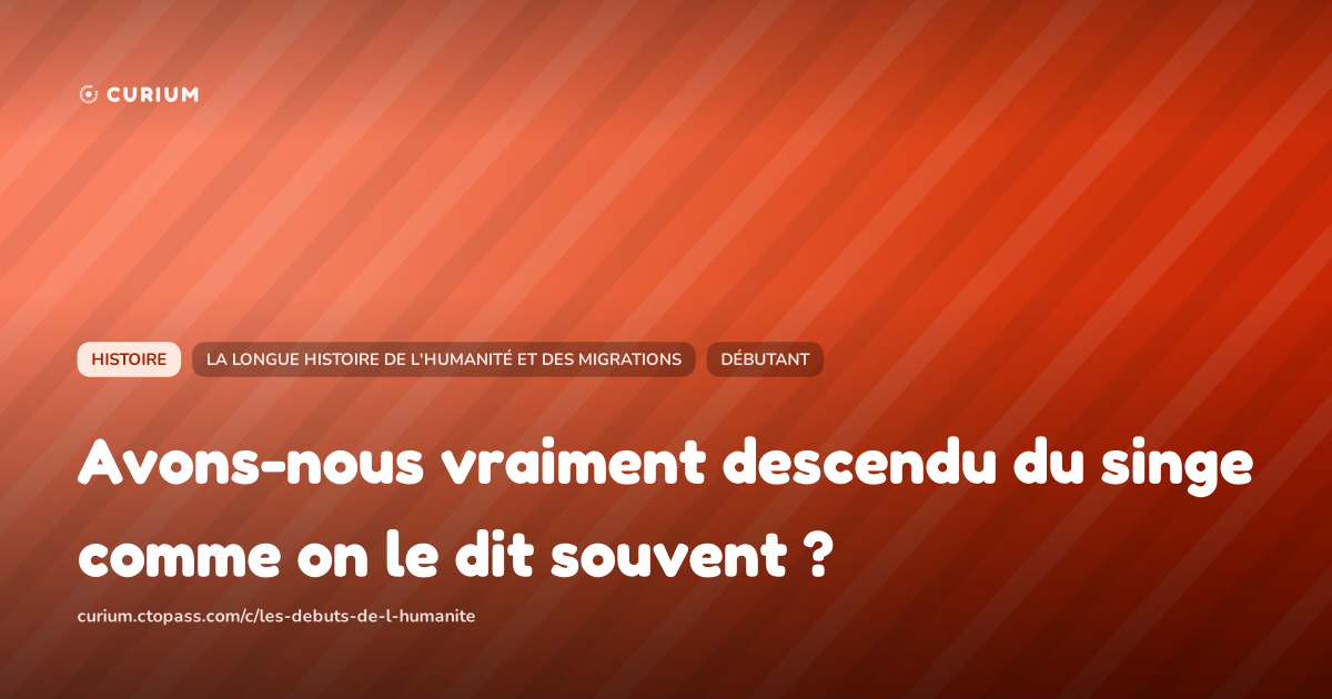 Avons-nous vraiment descendu du singe comme on le dit souvent ?