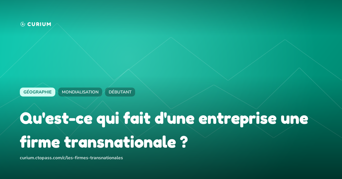 Qu'est-ce qui fait d'une entreprise une firme transnationale ?