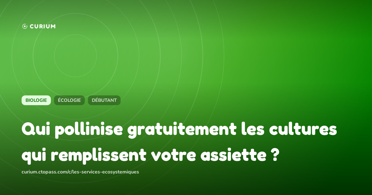 Qui pollinise gratuitement les cultures qui remplissent votre assiette ?