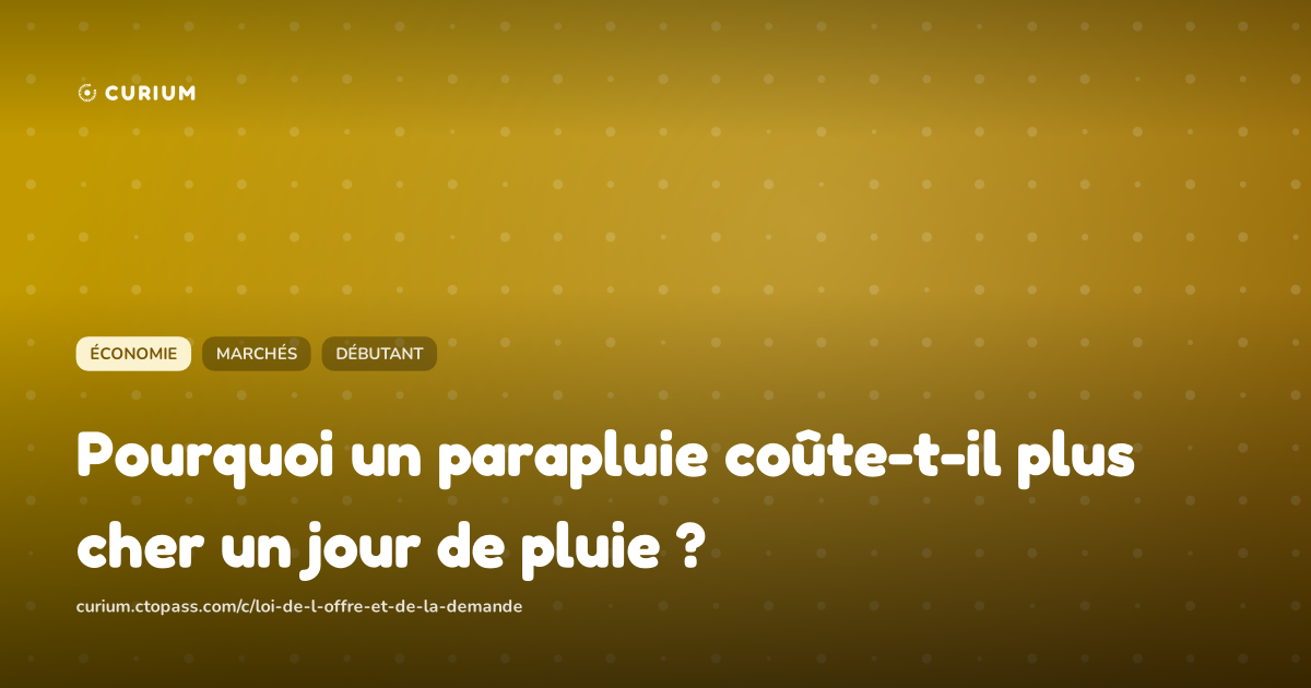 Pourquoi un parapluie coûte-t-il plus cher un jour de pluie ?