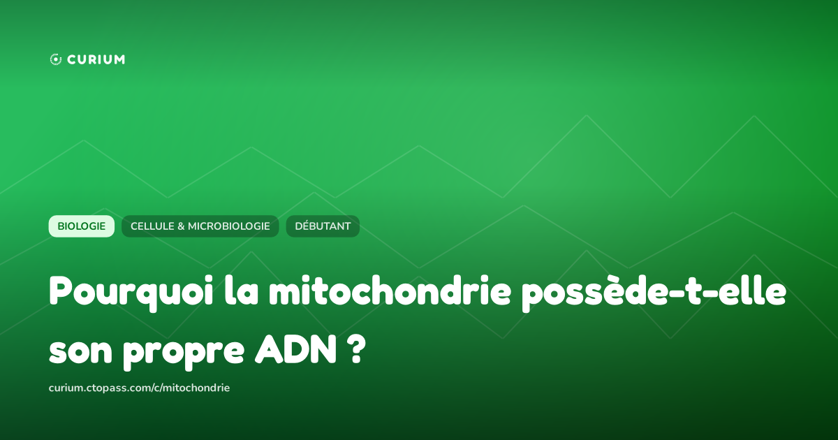 Pourquoi la mitochondrie possède-t-elle son propre ADN ?