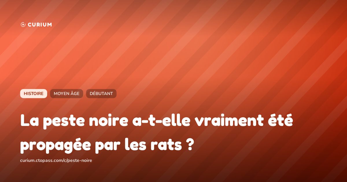 La peste noire a-t-elle vraiment été propagée par les rats ?