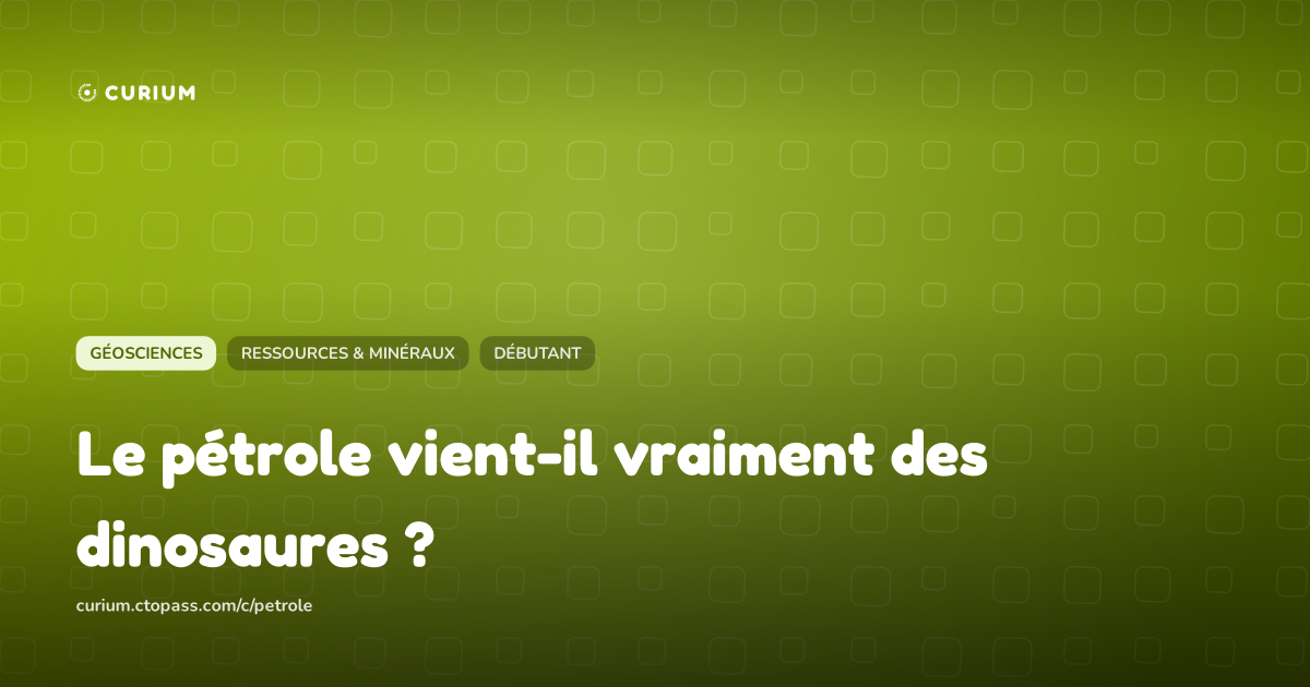 Le pétrole vient-il vraiment des dinosaures ?