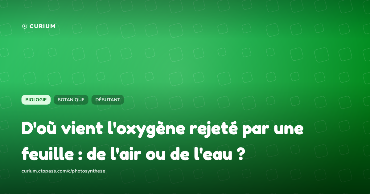 D'où vient l'oxygène rejeté par une feuille : de l'air ou de l'eau ?