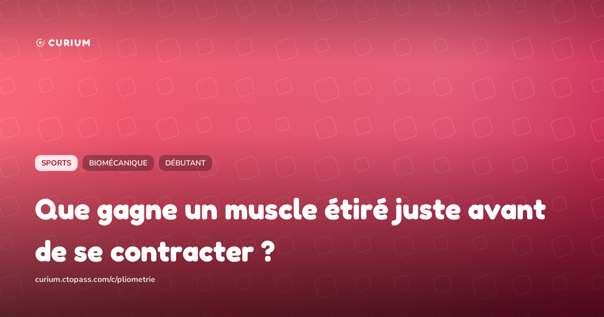 Que gagne un muscle étiré juste avant de se contracter ?