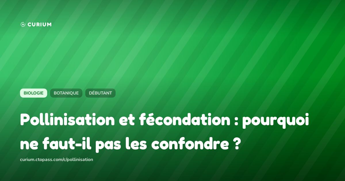 Pollinisation et fécondation : pourquoi ne faut-il pas les confondre ?