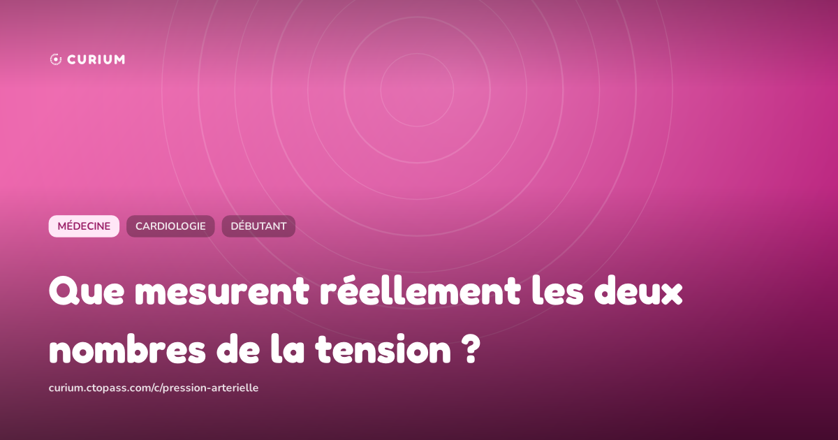 Que mesurent réellement les deux nombres de la tension ?