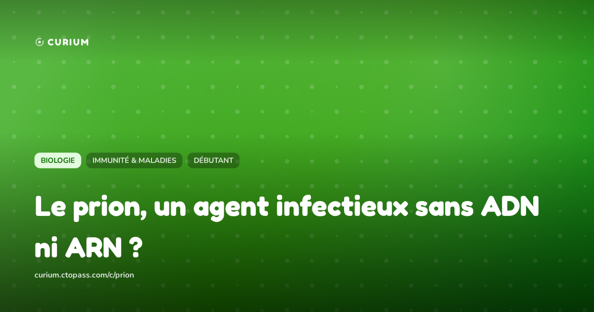 Le prion, un agent infectieux sans ADN ni ARN ?