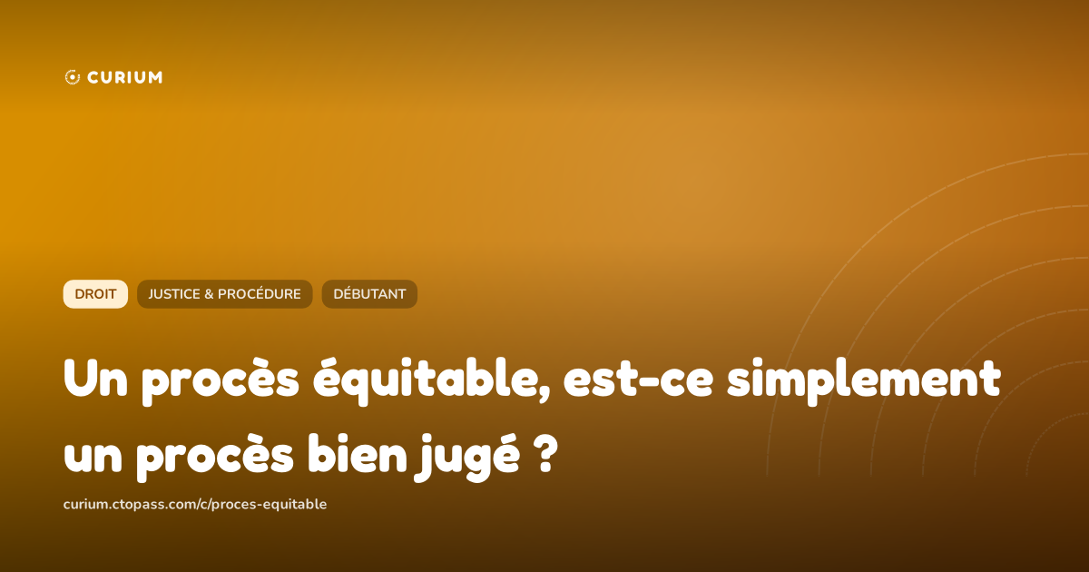 Un procès équitable, est-ce simplement un procès bien jugé ?