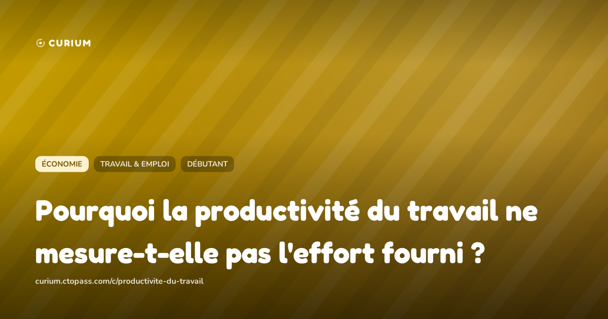 Pourquoi la productivité du travail ne mesure-t-elle pas l'effort fourni ?