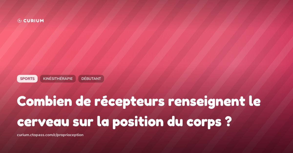 Combien de récepteurs renseignent le cerveau sur la position du corps ?