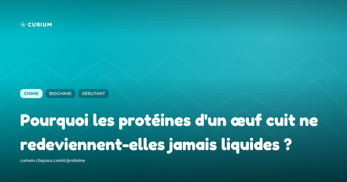 Pourquoi les protéines d'un œuf cuit ne redeviennent-elles jamais liquides ?