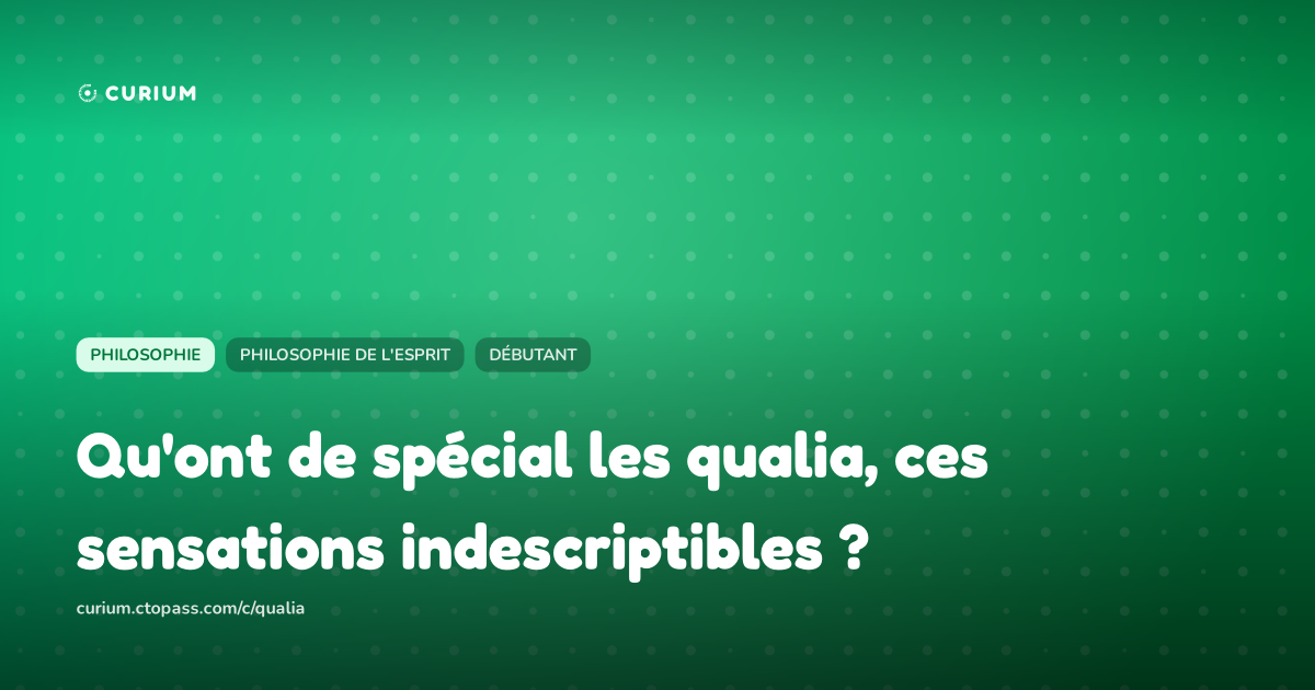 Qu'ont de spécial les qualia, ces sensations indescriptibles ?