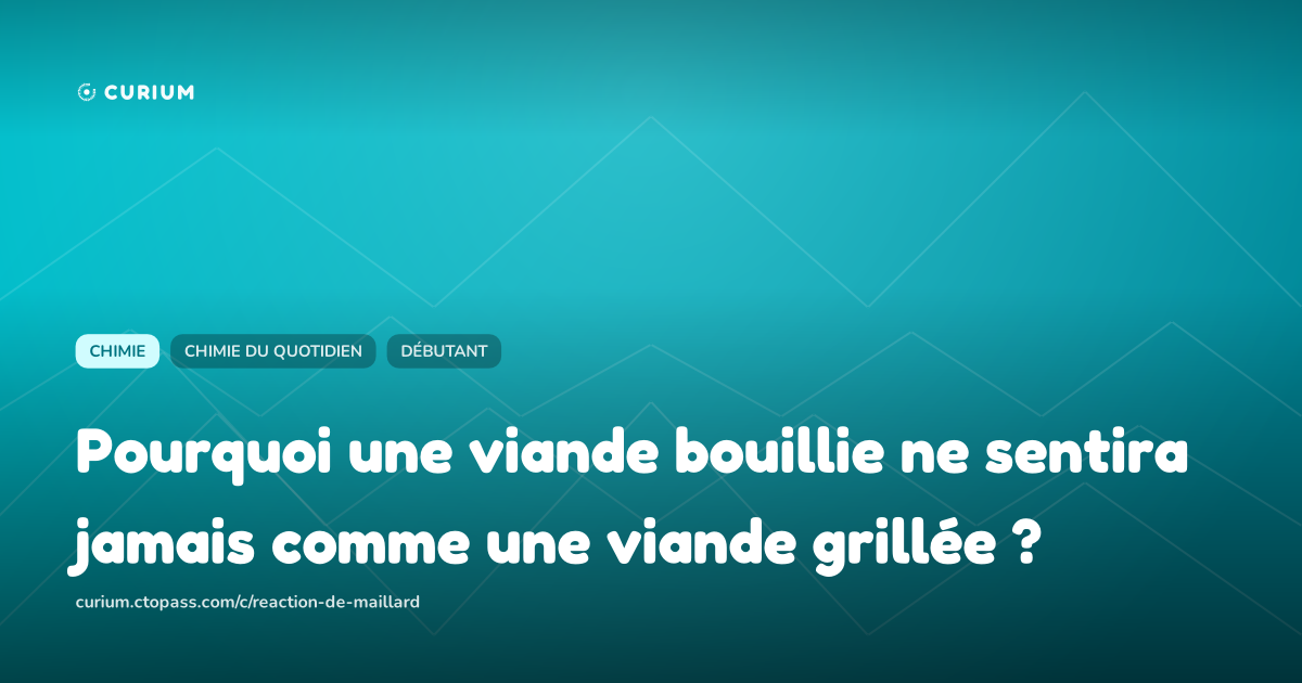 Pourquoi une viande bouillie ne sentira jamais comme une viande grillée ?