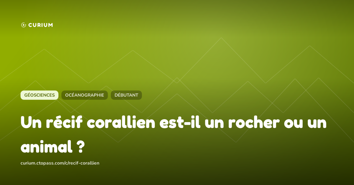 Un récif corallien est-il un rocher ou un animal ?