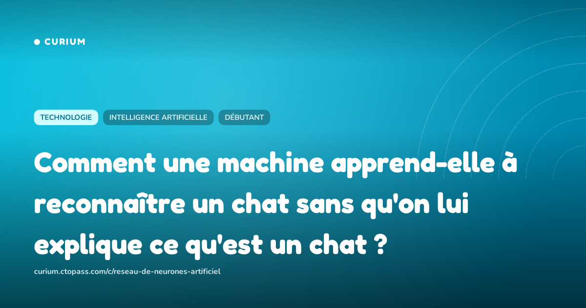 Comment une machine apprend-elle à reconnaître un chat sans qu'on lui explique ce qu'est un chat ?