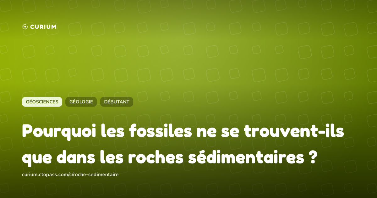 Pourquoi les fossiles ne se trouvent-ils que dans les roches sédimentaires ?