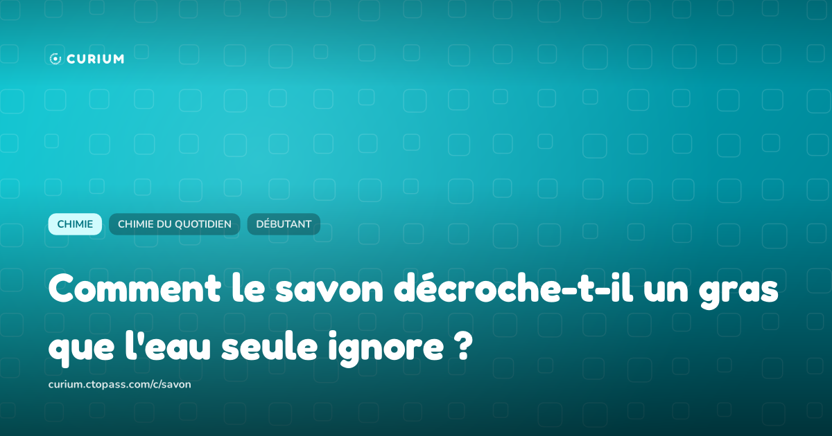 Comment le savon décroche-t-il un gras que l'eau seule ignore ?
