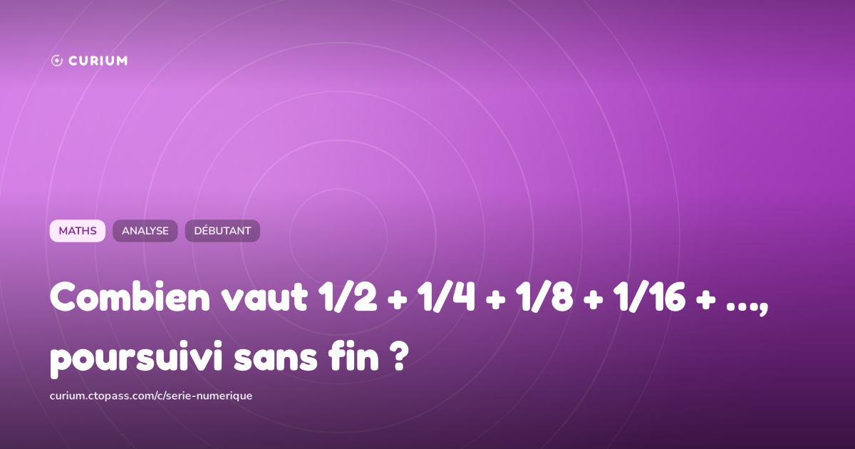 Combien vaut 1/2 + 1/4 + 1/8 + 1/16 + …, poursuivi sans fin ?