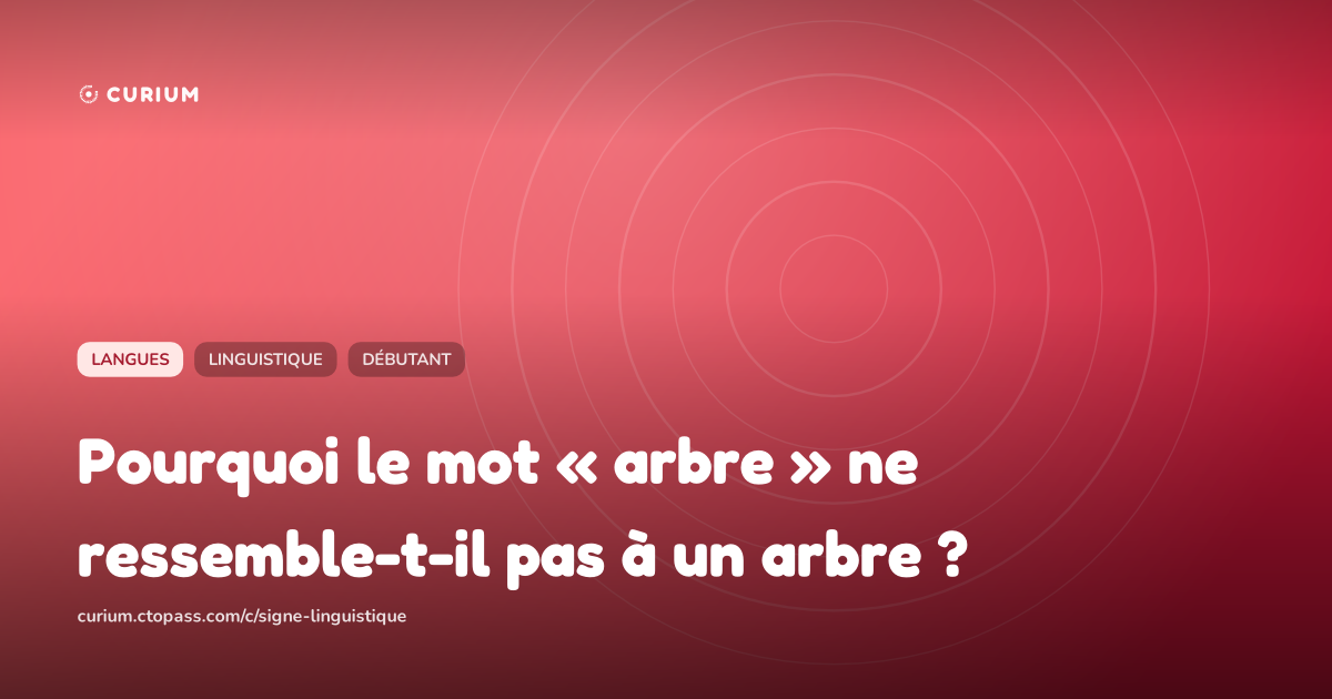 Pourquoi le mot « arbre » ne ressemble-t-il pas à un arbre ?