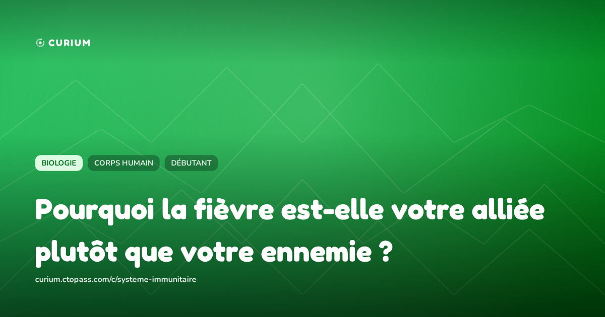 Pourquoi la fièvre est-elle votre alliée plutôt que votre ennemie ?