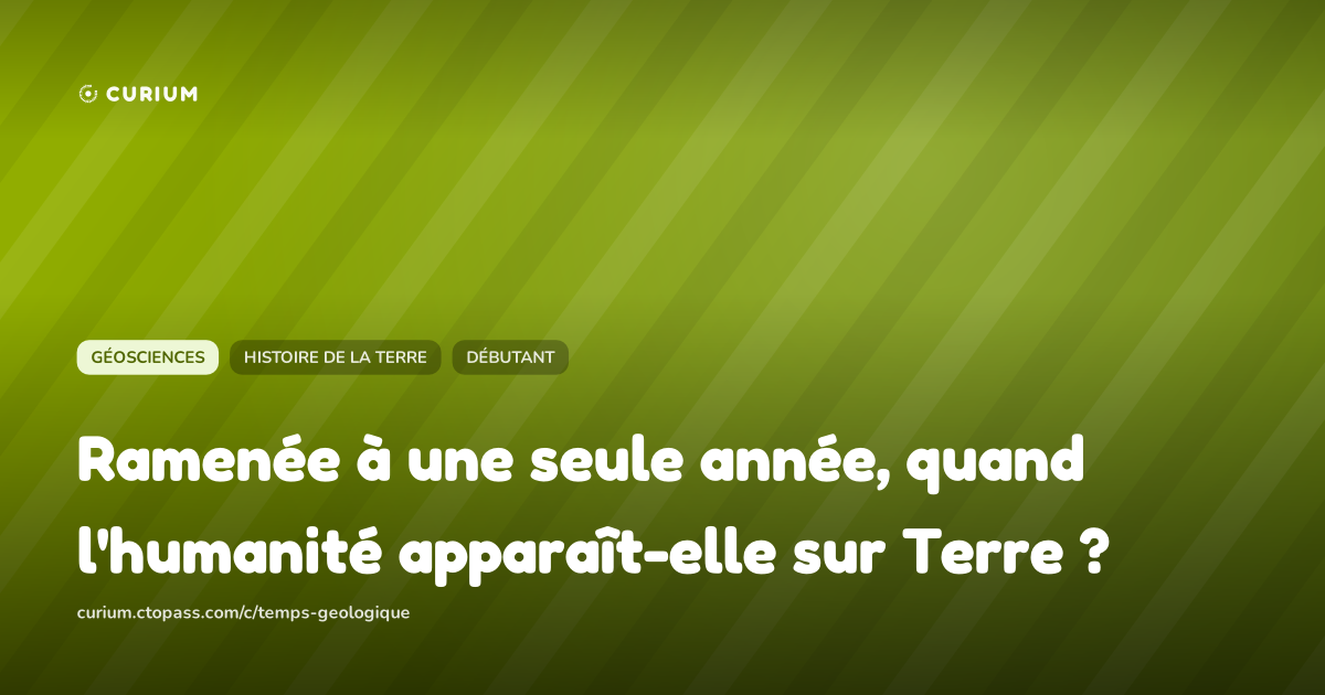 Ramenée à une seule année, quand l'humanité apparaît-elle sur Terre ?