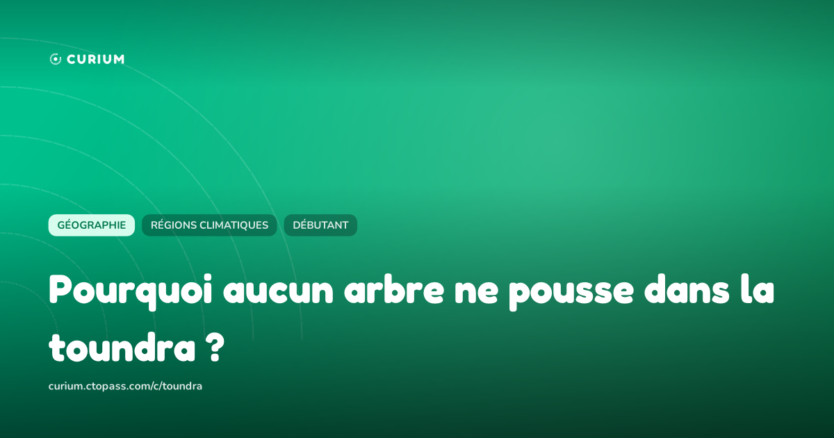 Pourquoi aucun arbre ne pousse dans la toundra ?