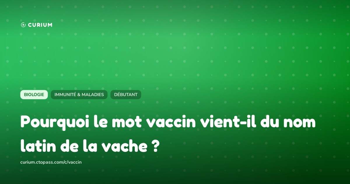 Pourquoi le mot vaccin vient-il du nom latin de la vache ?
