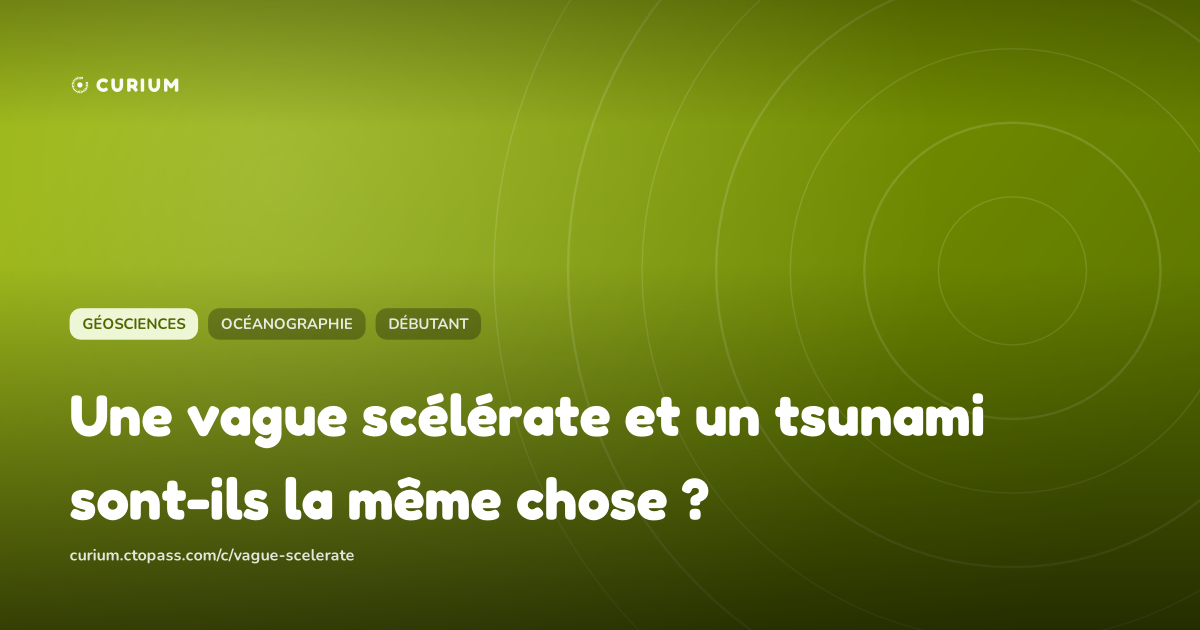 Une vague scélérate et un tsunami sont-ils la même chose ?