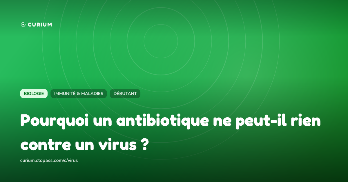 Pourquoi un antibiotique ne peut-il rien contre un virus ?